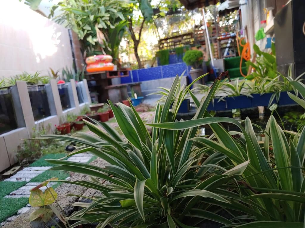 Tasek Homestay D Village Ipoh - photo 26