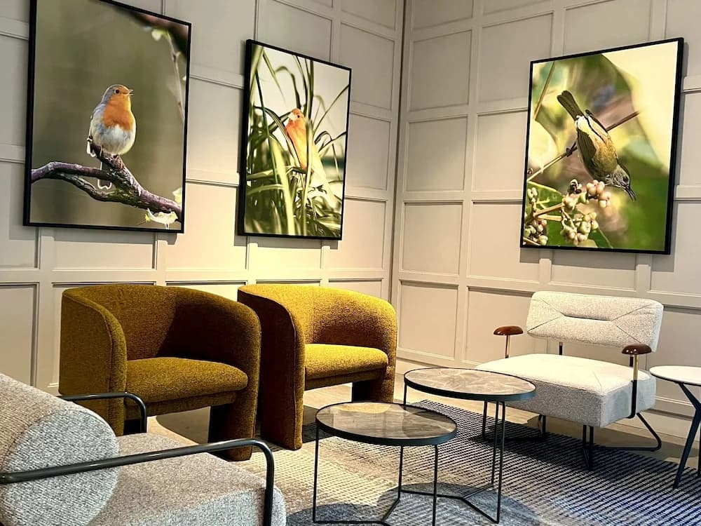 Le Vert Boutique Hotel - photo 10