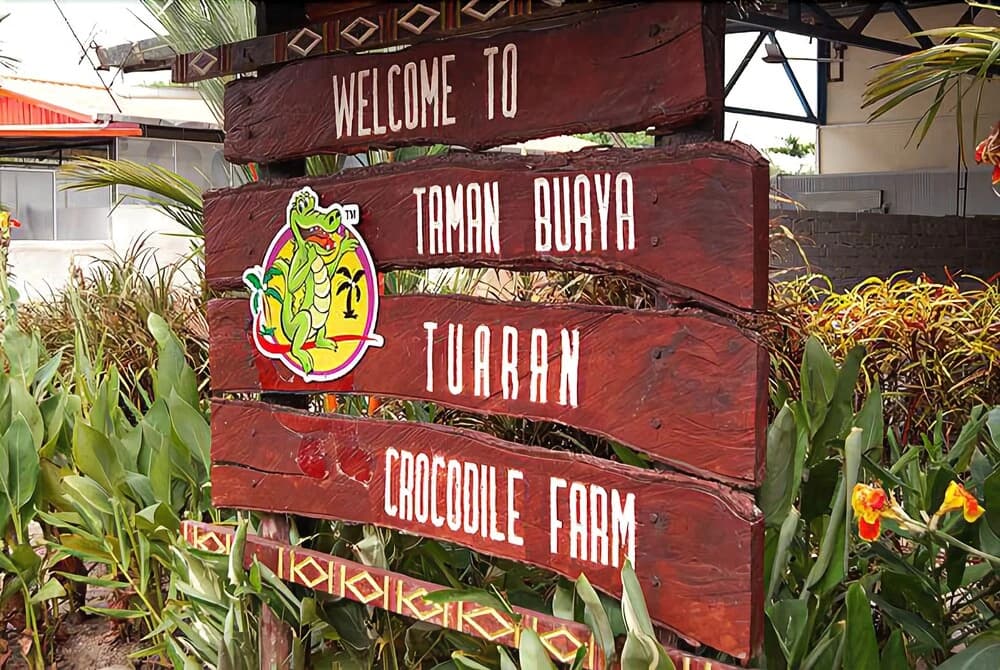 D'hartamas Guesthouse - photo 14