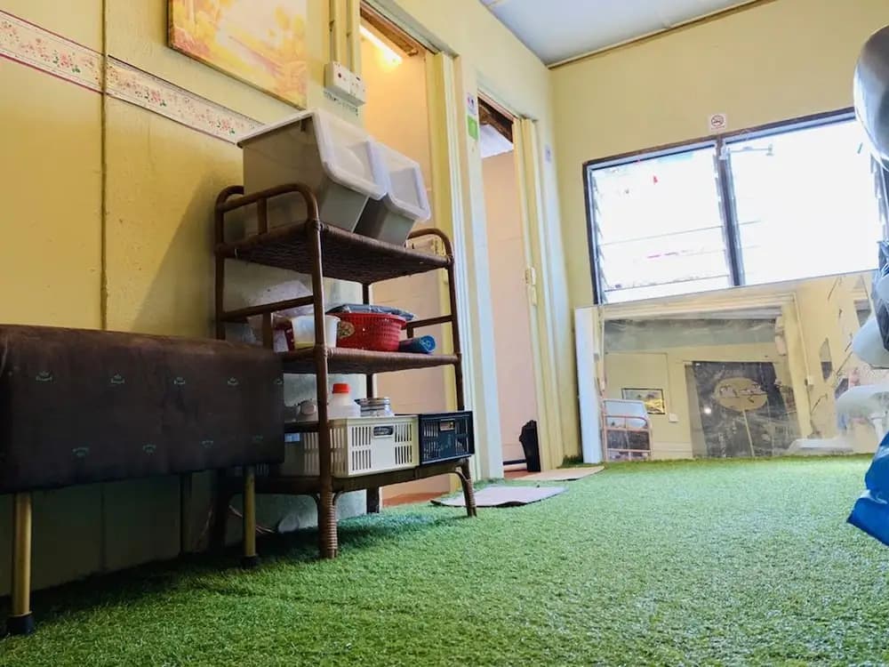Cookoobird Home - Hostel - photo 2