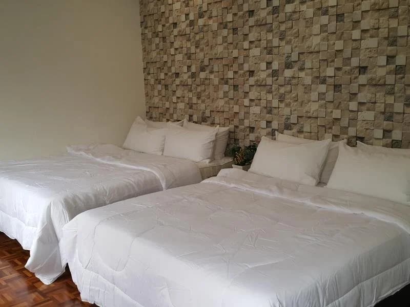 Harmony Guest House - photo 4