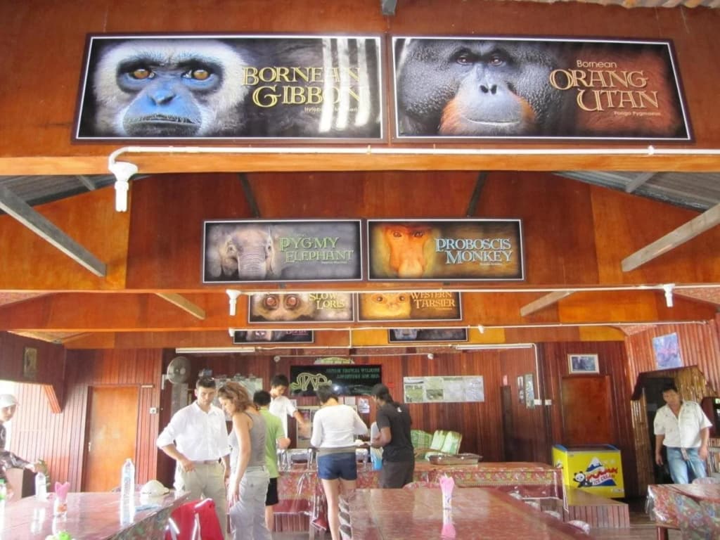 Bilit Adventure Lodge - photo 10
