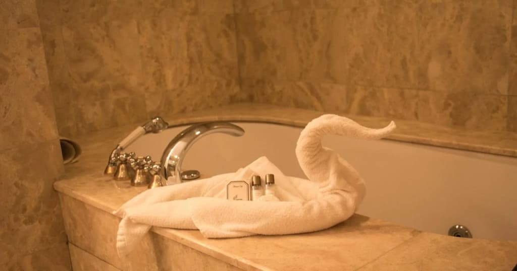 The Plaza Hotel - photo 9