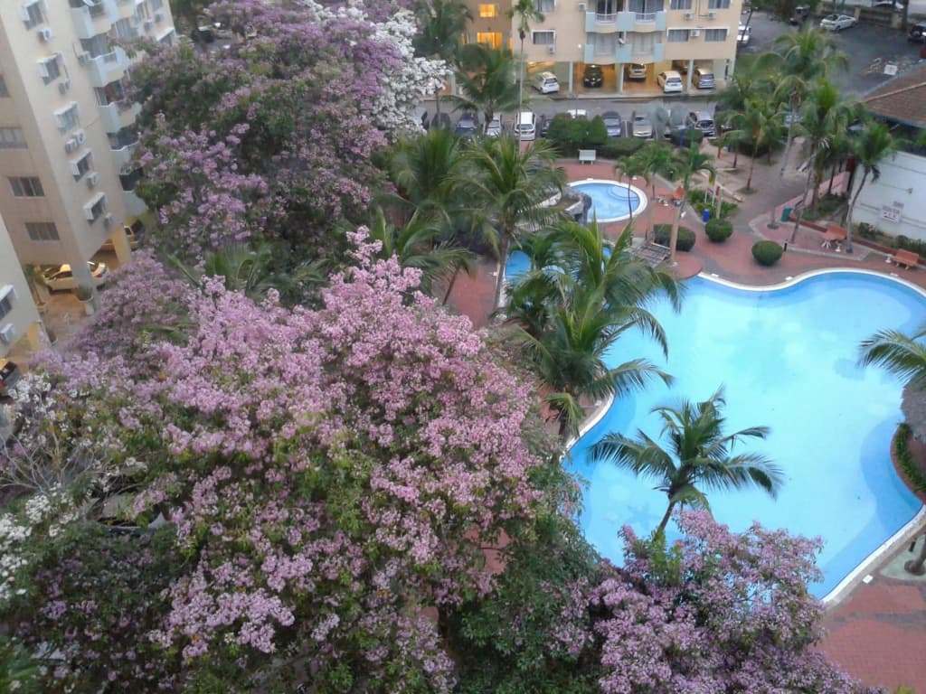 Garden City Service Apartment Melaka - photo 8