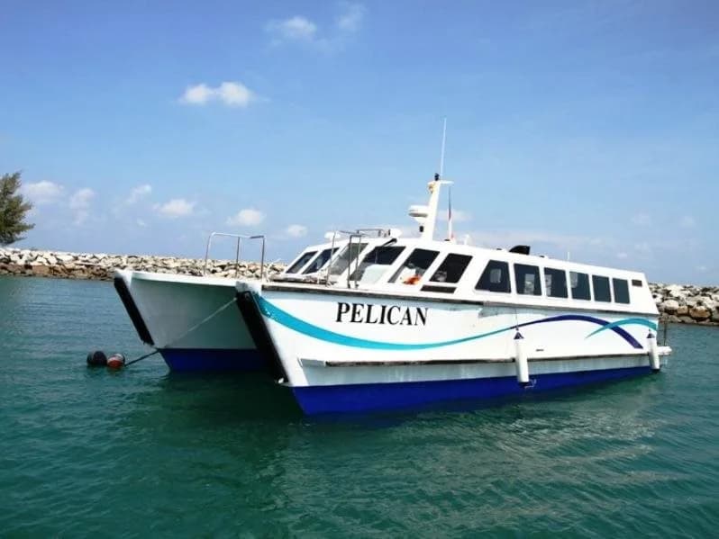 Sibu Island Resort Johor - photo 16