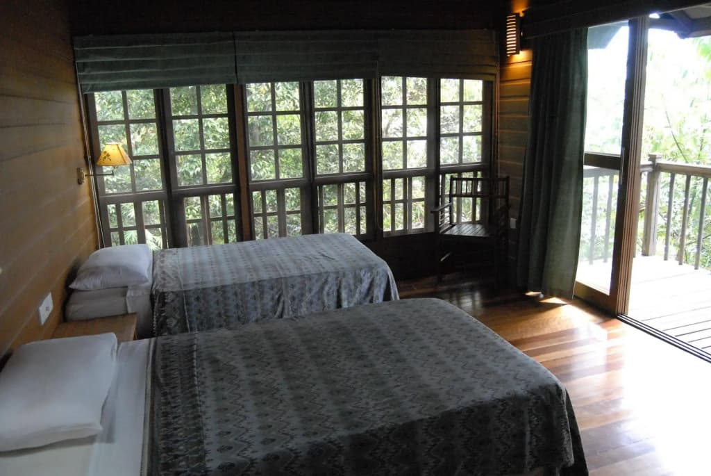 Permai Rainforest Resort - photo 1