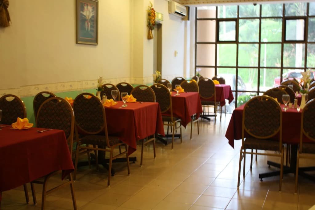 Lipis Plaza Hotel - photo 21