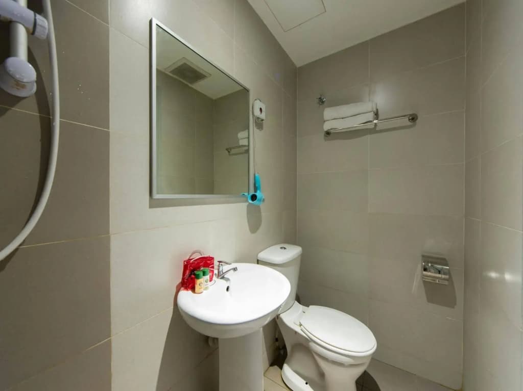 Swiss Cottage Hotel - photo 7