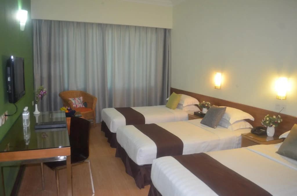 Tang Dynasty Park Hotel - photo 7