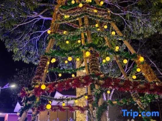 Medan Bunga Raya Resort - photo 7