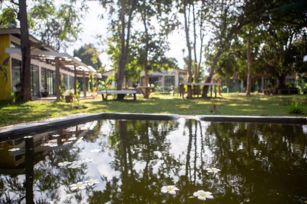 Langkawi Rouhi Retreats - photo 2