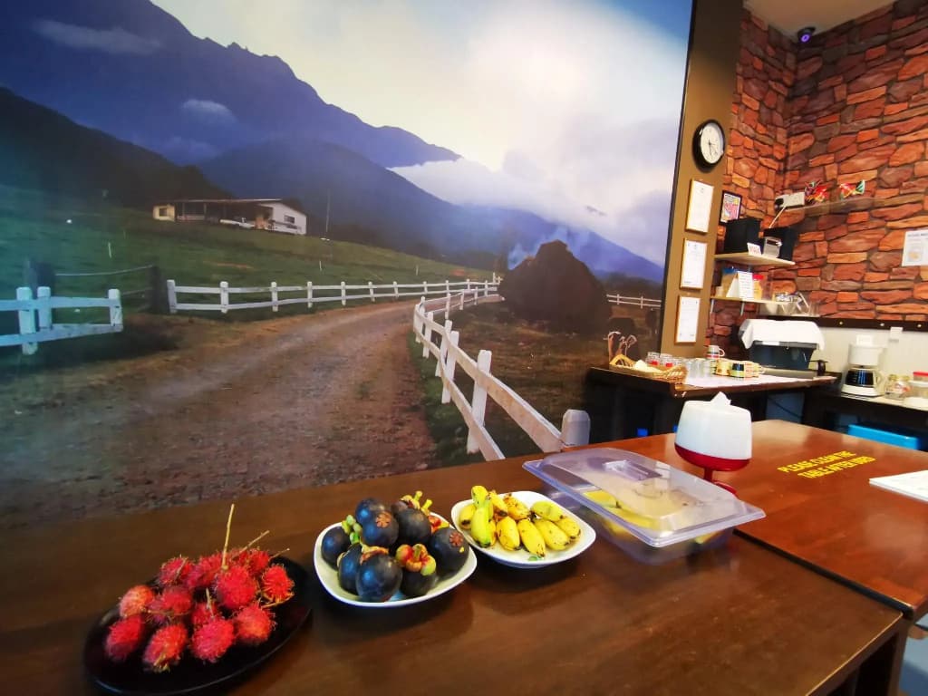 Masada Bed And Breakfast - photo 7