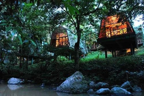 Tabin Wildlife Resort - photo 6