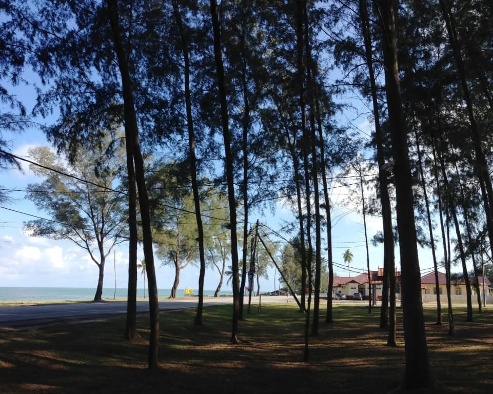 Semarak Beach Inn - photo 14