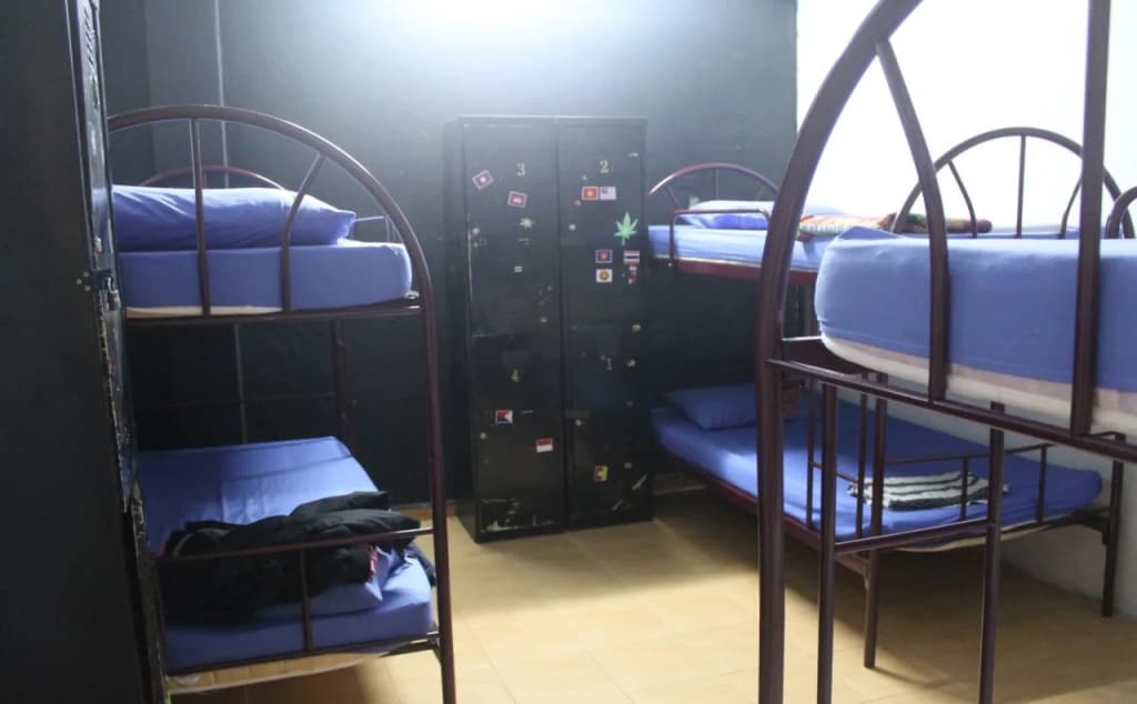 Sweet Monkey Backpacker Hostel - photo 2