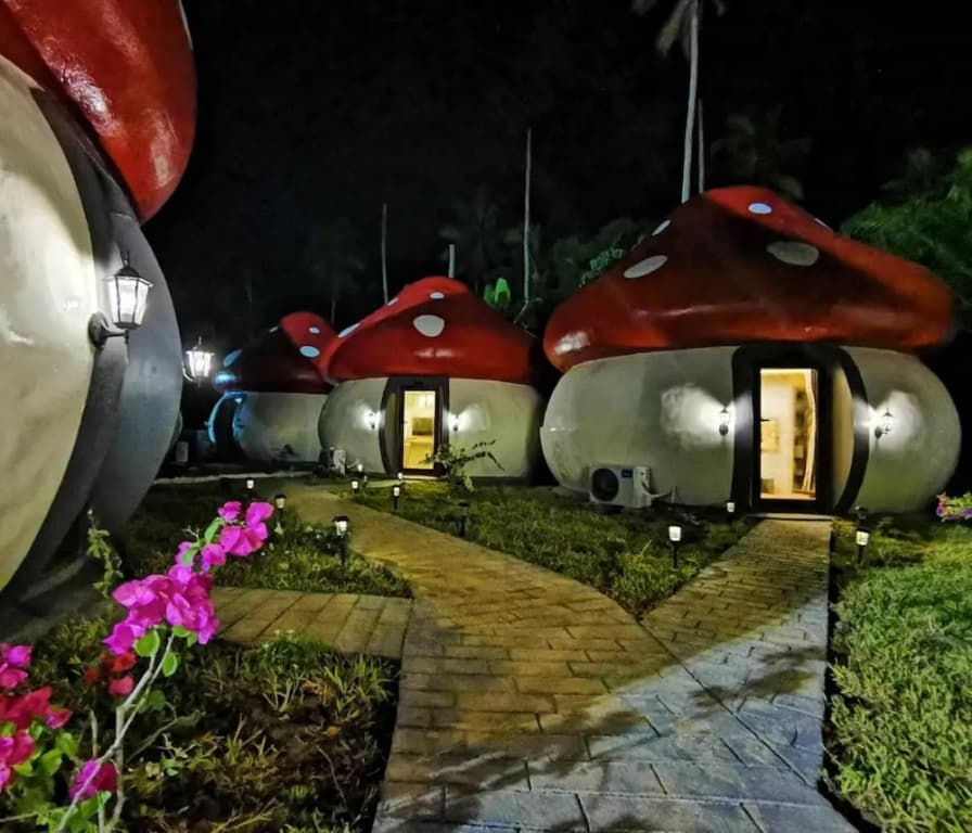 Mushrooms Inn - photo 16