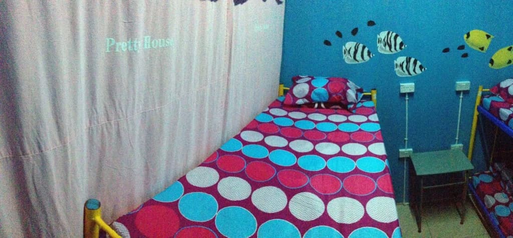 Bubble Backpackers - photo 3
