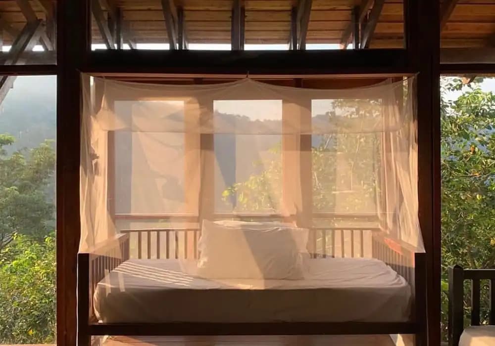 The Shorea - photo 6