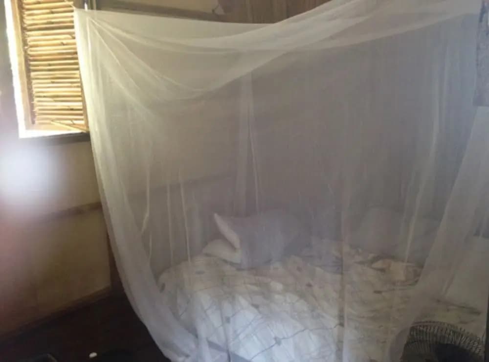 Bricolage Farm and Homestay - photo 2