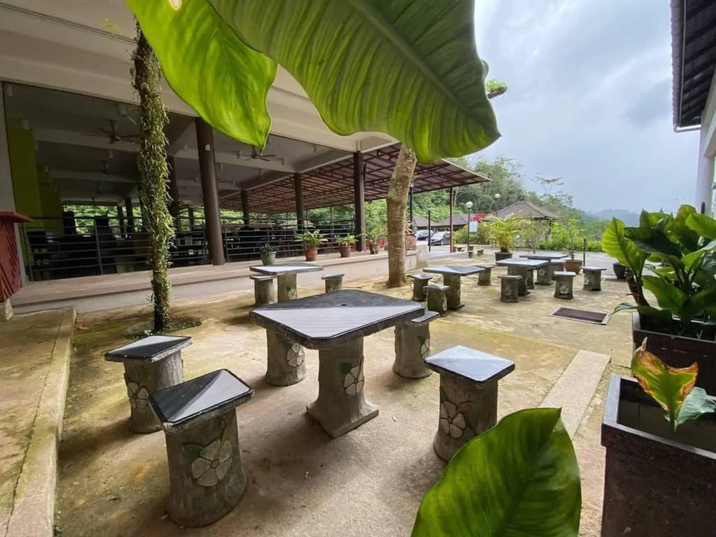 Cherengin Hills Convention & Spa Resort - photo 22