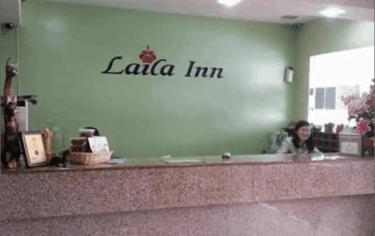 Laila Inn - photo 14