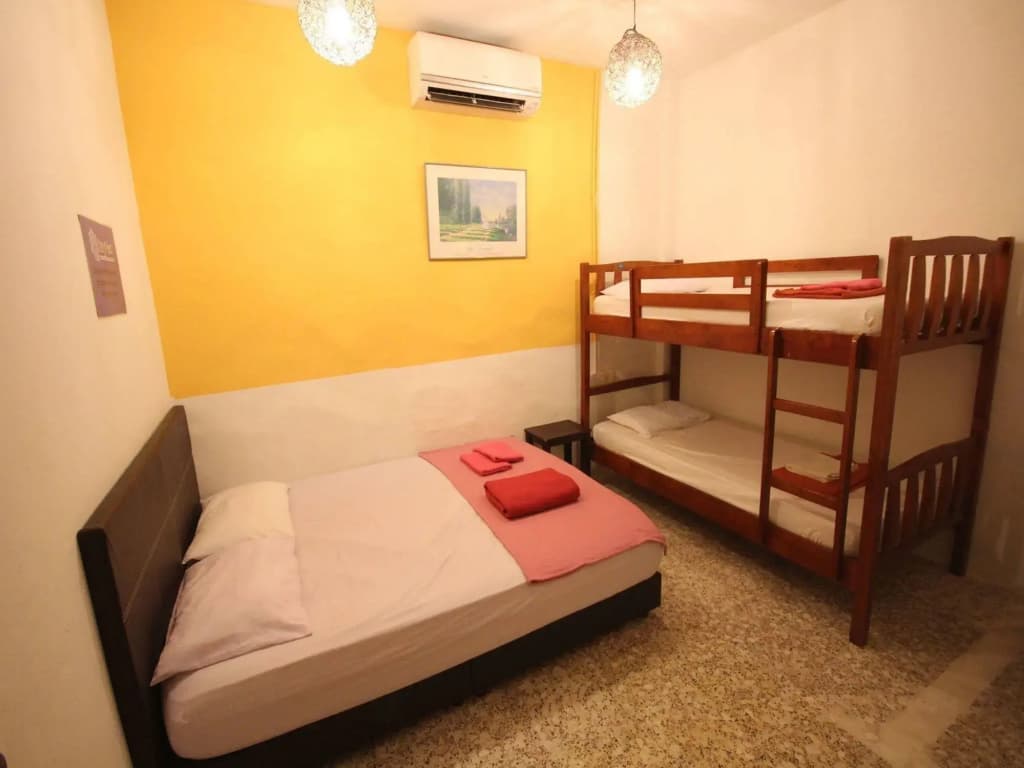 Cocoa Mews Cafe & Homestay - Hostel - photo 5