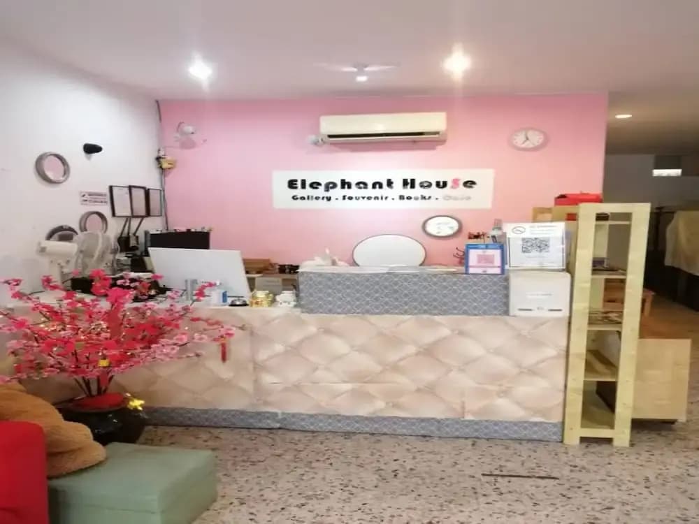 Hotel O Elephant House Boutique Hotel - photo 2