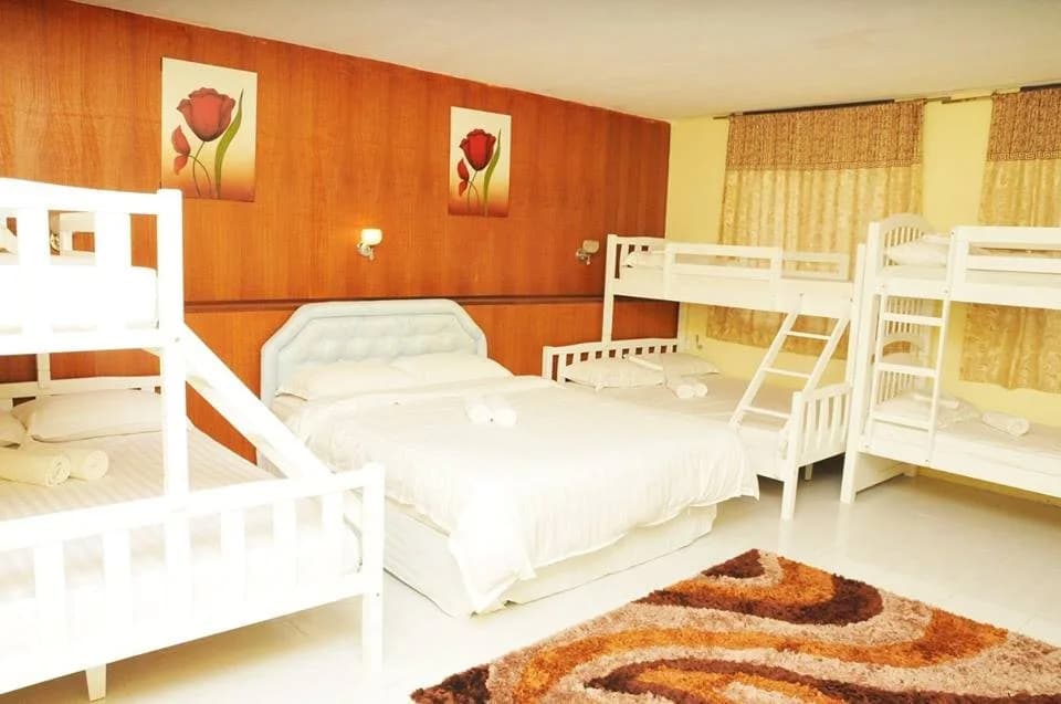 Zeala Asmara Motel - photo 6