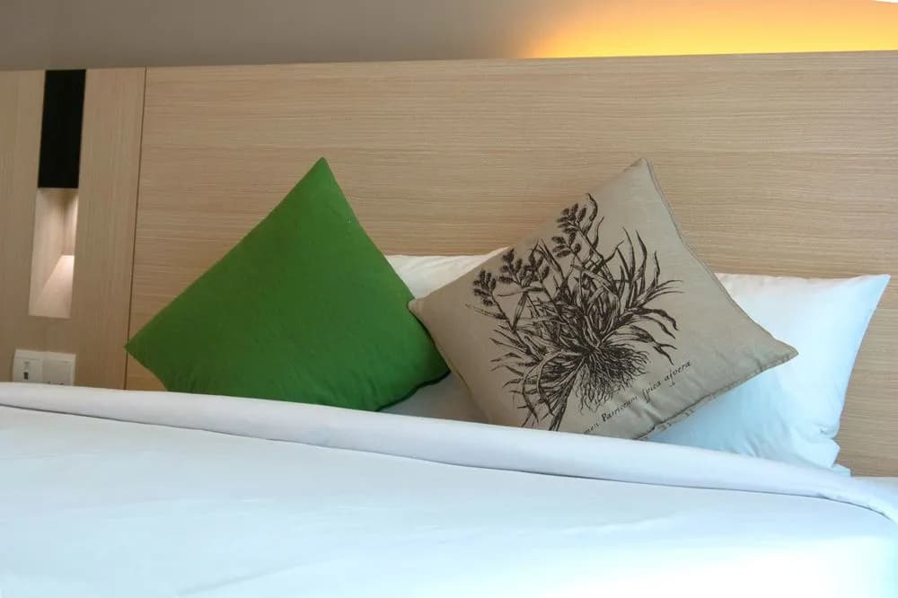The Manor Luxury Suites & Apartments - photo 5