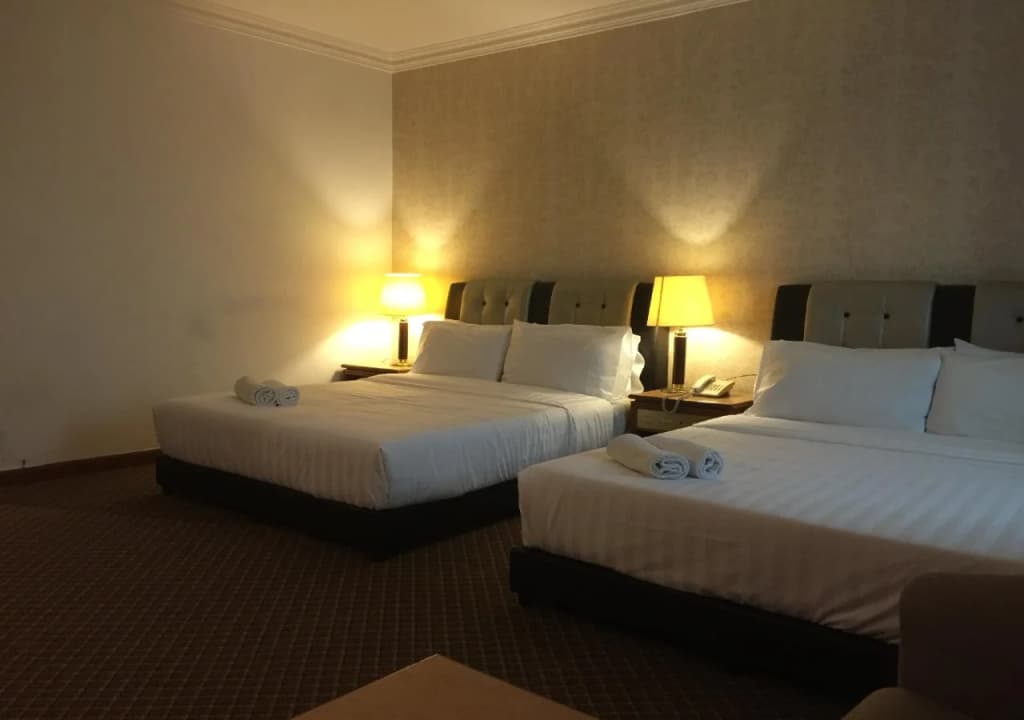 Pelican Hotel - photo 6