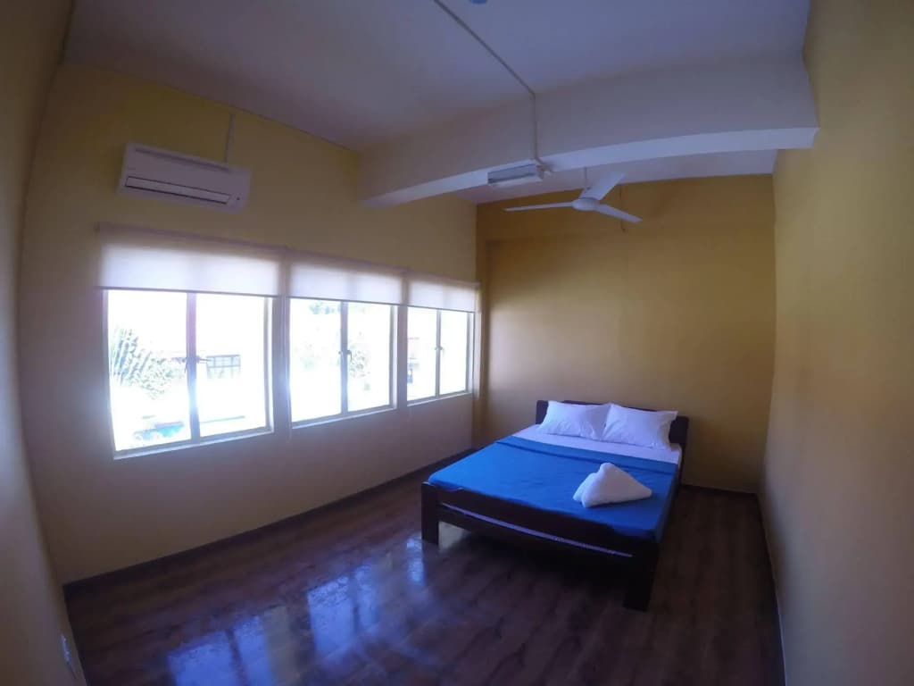 Fat Rhino Hostel - photo 4