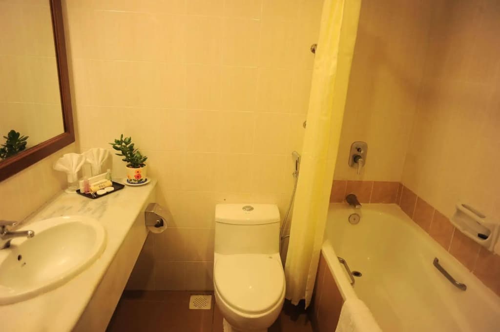 Heritage Hotel Cameron Highlands - photo 9