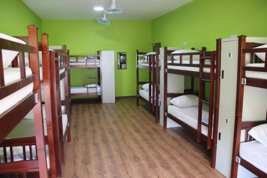 Fat Rhino Hostel - photo 6