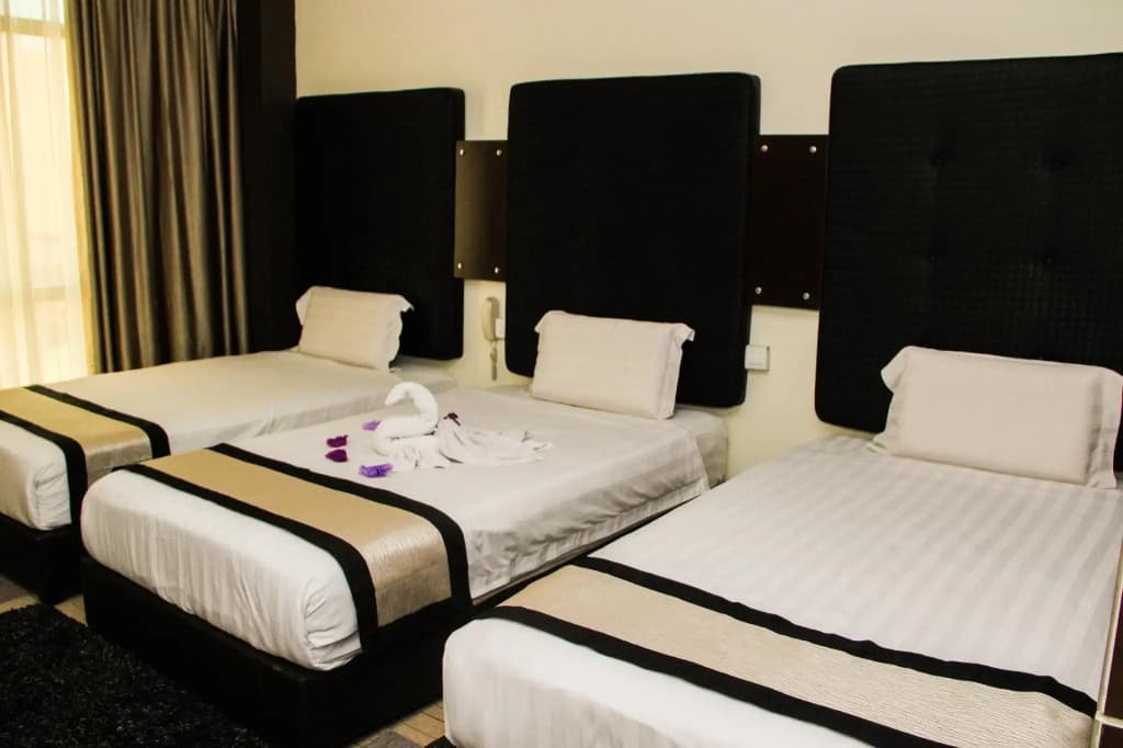 Shervinton Executive Boutique Hotel - photo 32