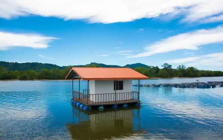 Styna Selatan - photo 3