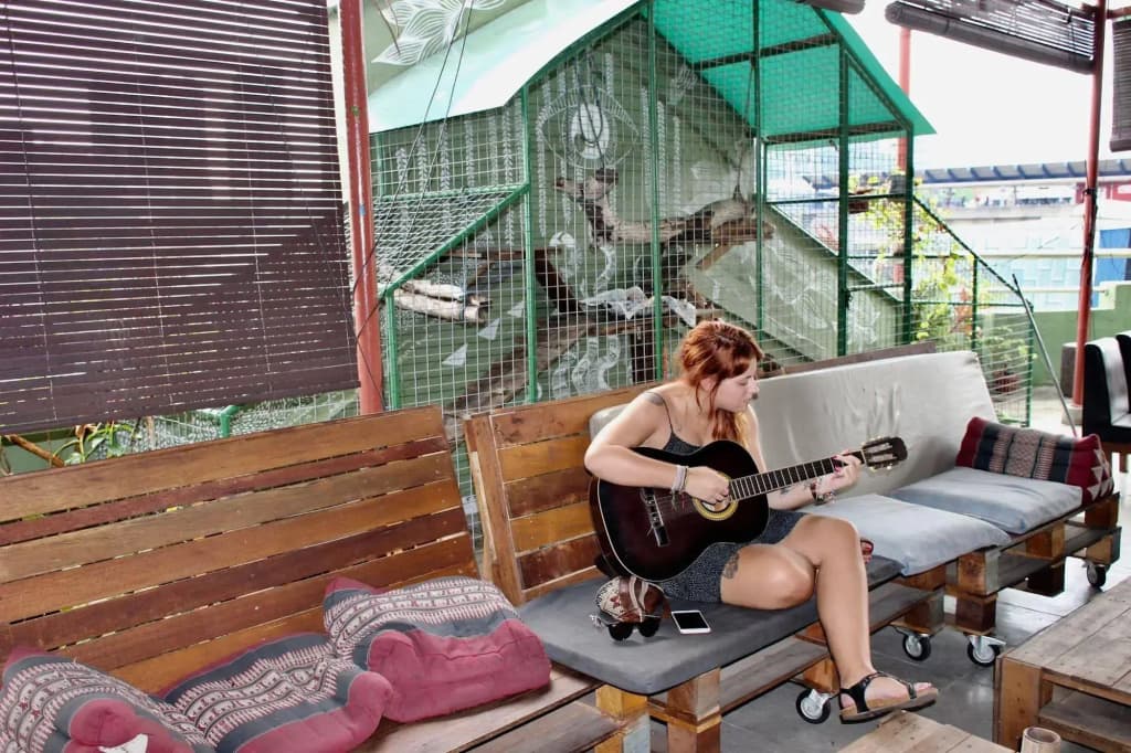 Birdnest Collective Cafe & Guesthouse - photo 22