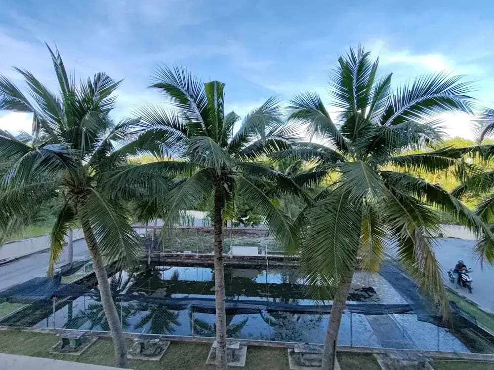 Lumut Villa Inn Homestay - photo 3