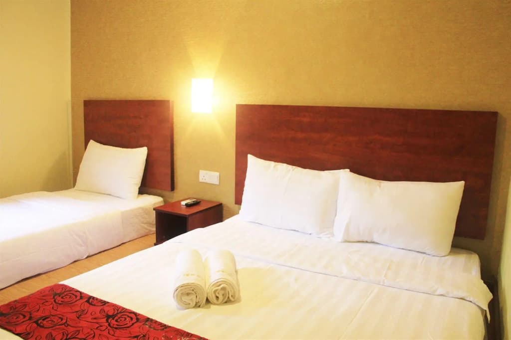 City View Hotel - photo 7