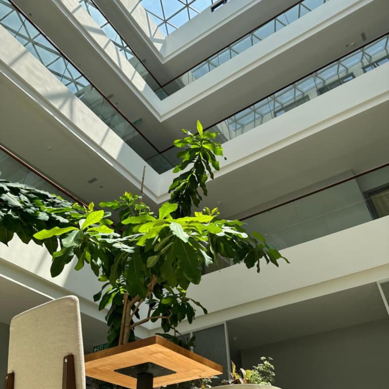 The Gallivant Hotel - photo 38