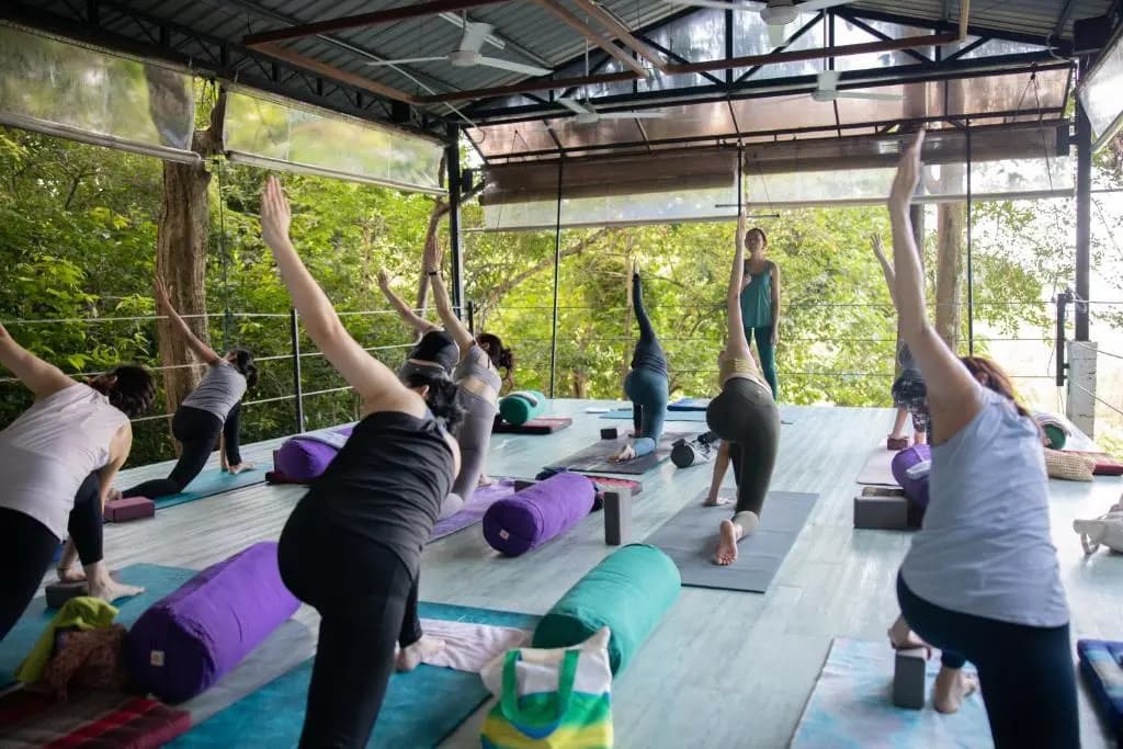 Ambong Rainforest Retreat - photo 20