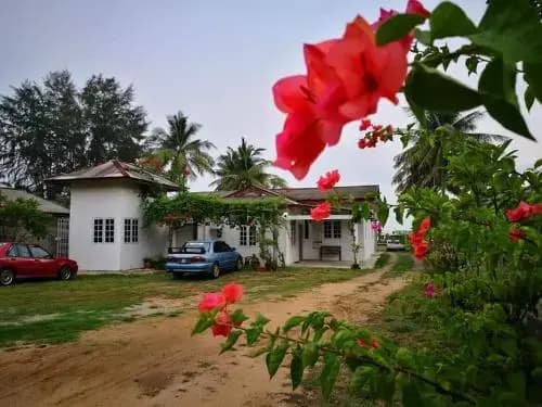 Ala Beach Lodge - photo 15
