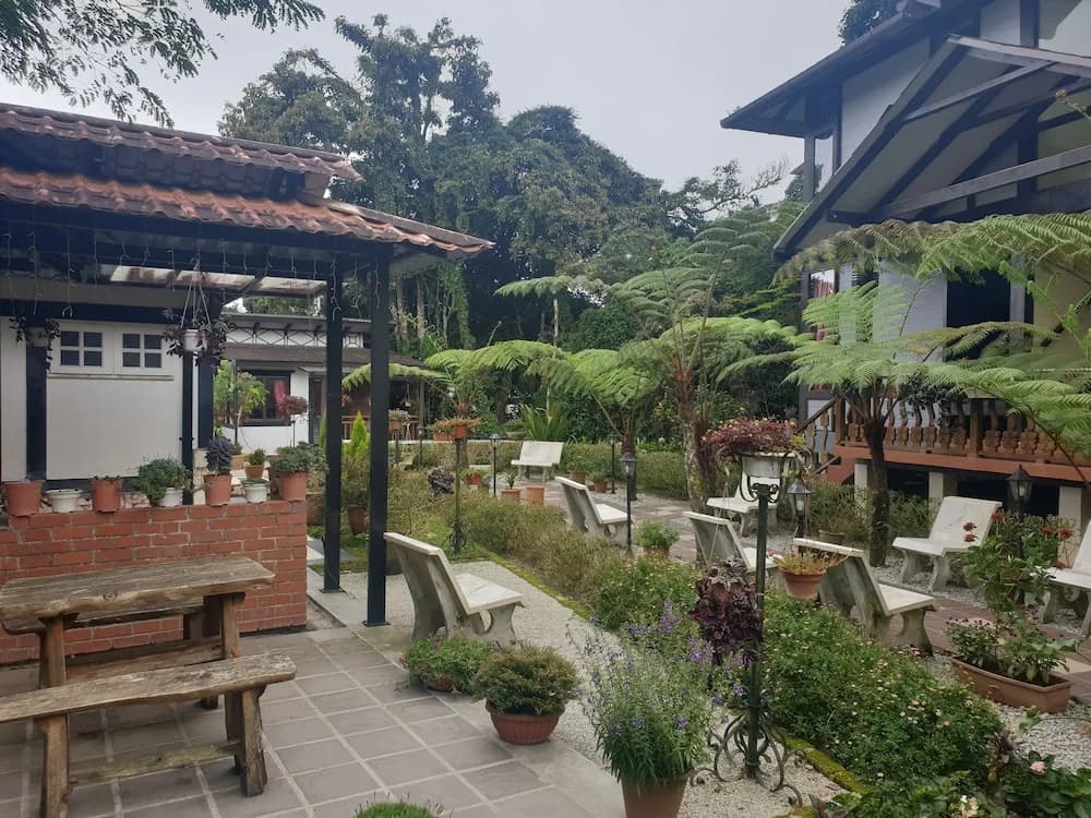 Casa Loma Cameron Highlands - photo 11