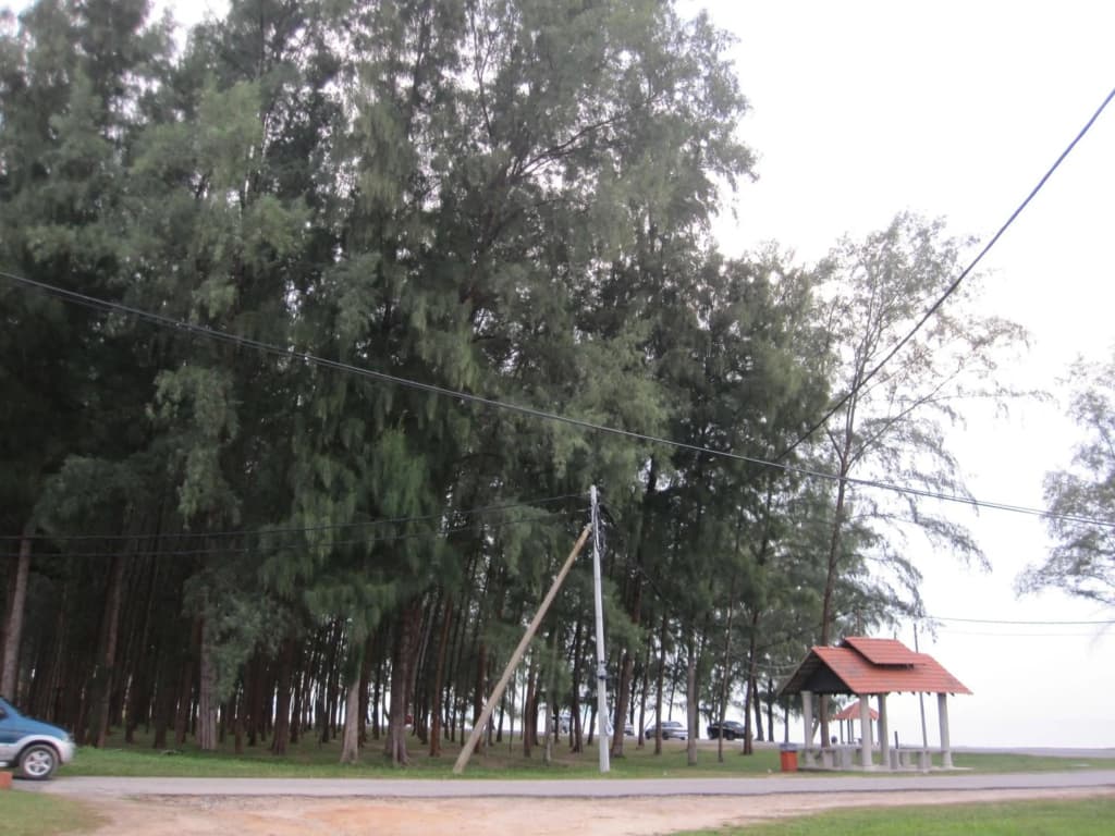 Al-Kahfi Homestay - photo 5