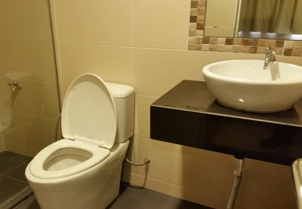 Hotel Iskandar - photo 9