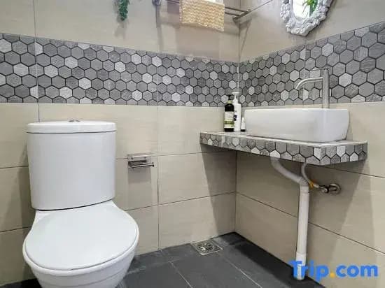 Style Star Inn Homestay (Alisa) - photo 4