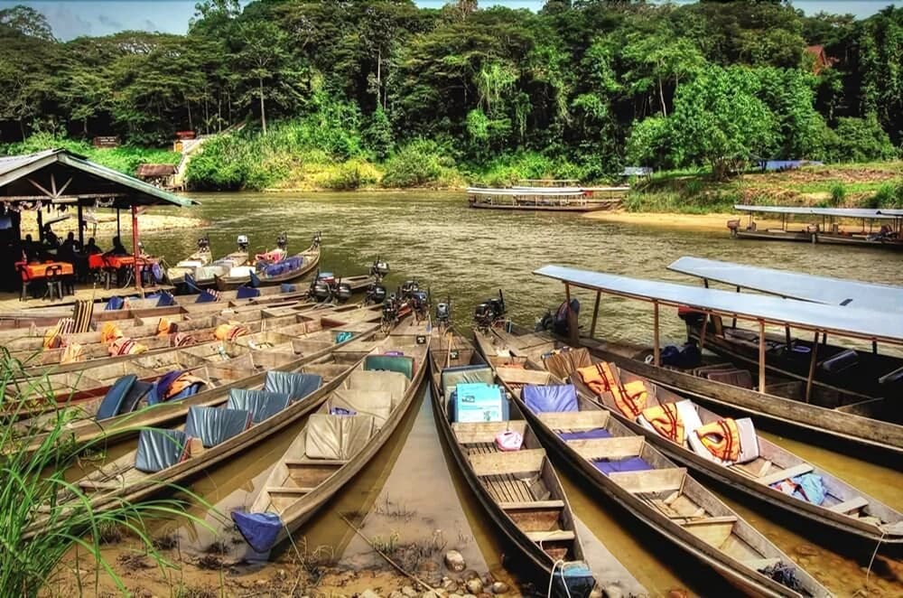 Taman Negara River View Lodge - photo 13
