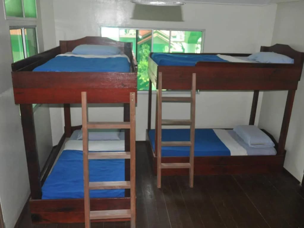 Sukau Greenview Bed and Breakfast - photo 12