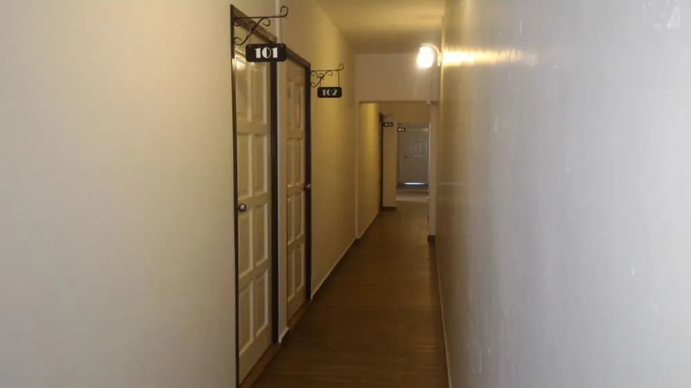 Nancii Guesthouse - photo 13