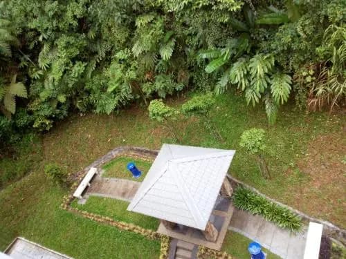 Muslim Homestay Cameron Highlands - photo 9