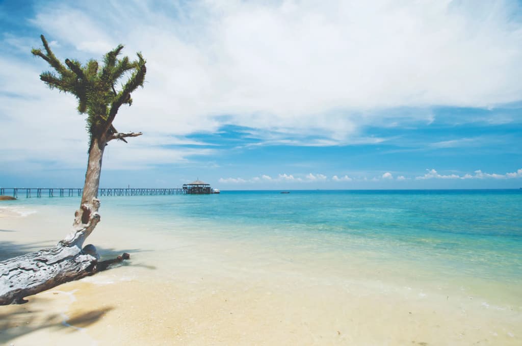 Japamala Resort by Samadhi – Age 12 and Above Only - photo 16